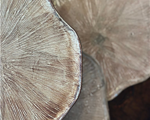 artisanal faïence céramique traditionnel authentique hiver noël unique