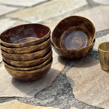 Bol en faïence - BALMA Automne