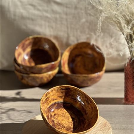 Bol en faïence - BALMA Automne