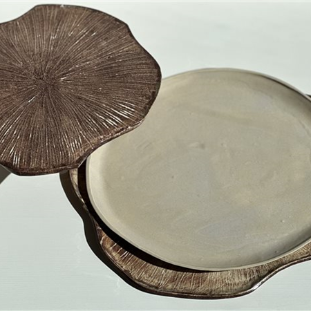 Earthenware plates - PANICAUT