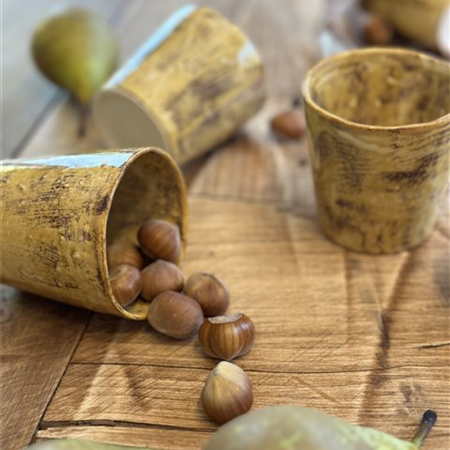 Earthenware Cup - TASSA Autumn